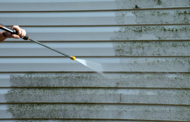  Coloma, MI Pressure Washing Pros